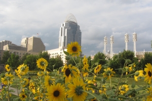 Looking toward downtown