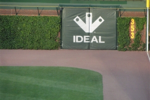 Right Field ivy looks great.
